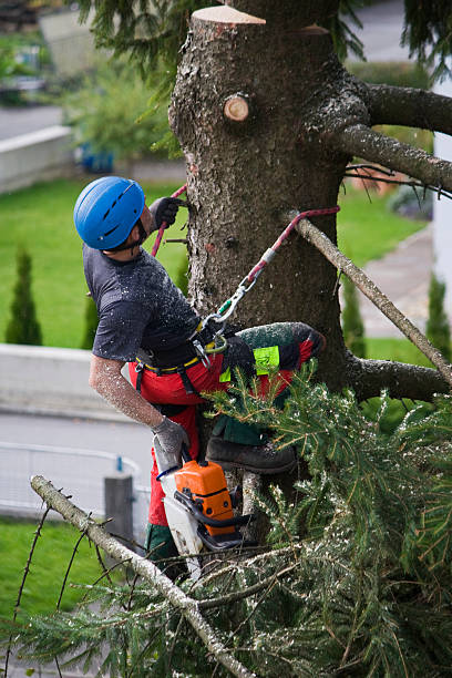 Mulching Services in Geneva, IN